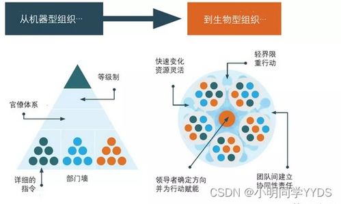 數據治理之道 構建敏捷治理組織與高效數據處理機制
